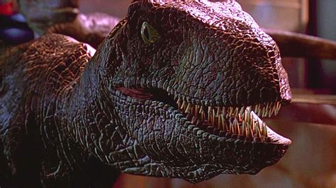 Jurassic Parks Velociraptors Are Completely Wrong According To Science