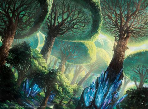 Forest Mtg Art From Ikoria Set By Alayna Danner Art Of Magic The