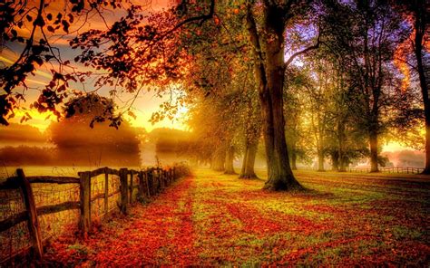 10 Top Hd Fall Landscape Pictures Full Hd 1080p For Pc Desktop 2020