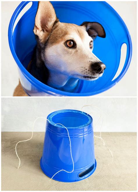 How To Make A Dog Cone Dekookguide