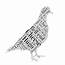 Personalised Pigeon Art  Word Prints App