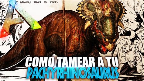 Como Tamear A Tu Pachyrhinosaurus Guia Español Ark Survival
