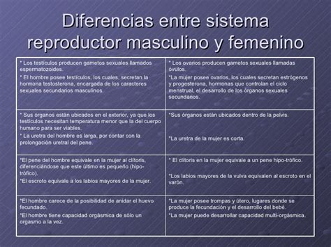 Cuadro Comparativo 4 Diferencias Entre El Sistema Reproductor Femenino