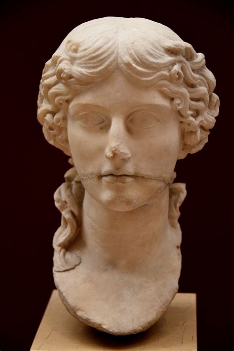 Bust Of Agrippina The Elder From Pergamon Illustration World