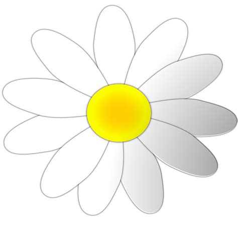 Daisy Flower Outline