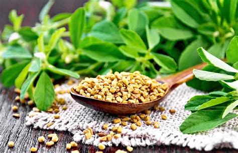 21 Best Herbs That Stimulate Hair Growth Naturally