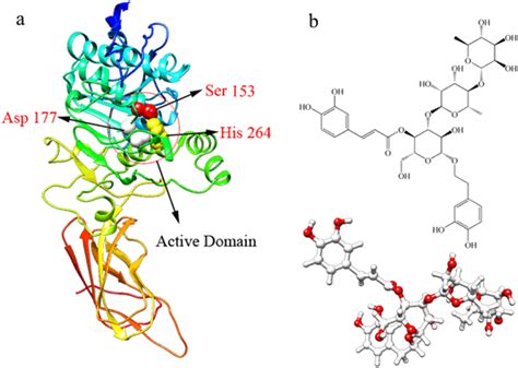 A Crystal Structure Of Lipase Pdb 1eth B Molecular Structure Of