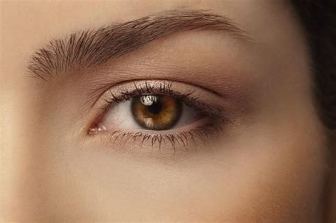 7 essential eye makeup tips for women over 40 beauty eye makeup tips