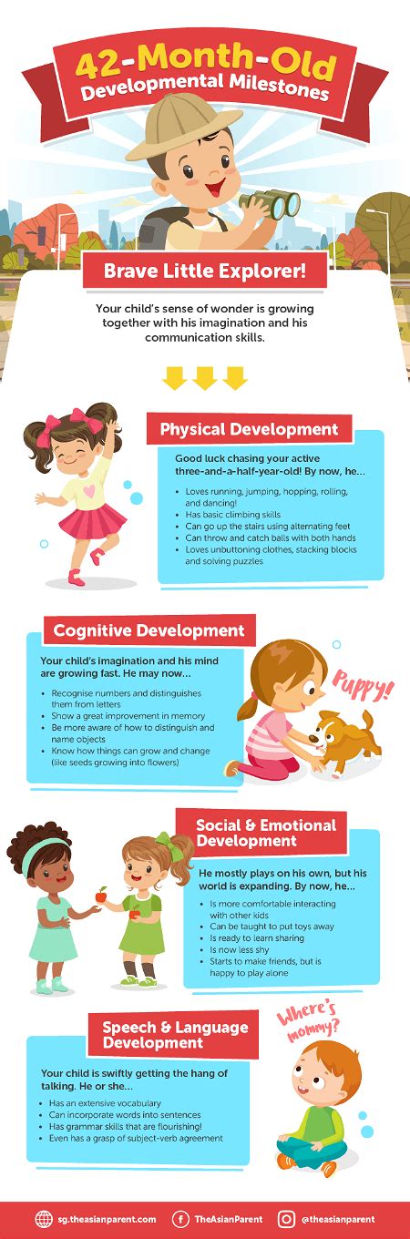 42 Month Old Development And Milestones Guide For Parents