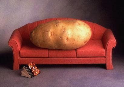Pun Couch Potato Couch Potato Couch Couch To 5k