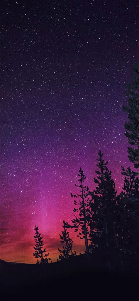 Purple Northern Lights Wallpapers On Wallpaperdog