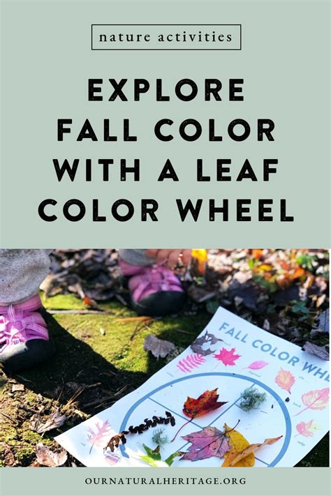 Kids Fall Activities Leaf Color Wheel Our Natural Heritage