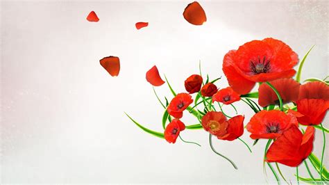Poppies Wallpapers Top Free Poppies Backgrounds Wallpaperaccess