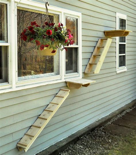 Outdoor Cedar Cat Perches Ramps From Touchstone Pet