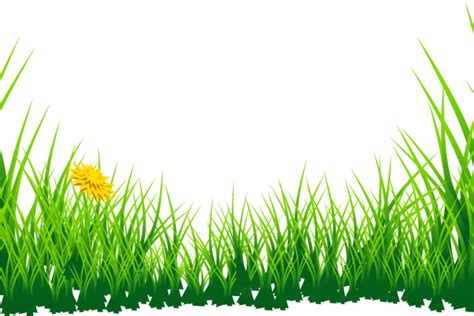Lawn Clipart Jungle Grass Png Download Full Size Clipart 2732089