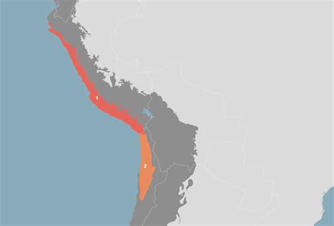 South American Coastal Deserts Nt8 One Earth