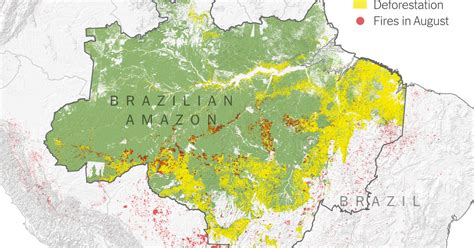What Satellite Imagery Tells Us About The Amazon Rain Forest Fires The New York Times