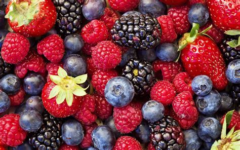 Les Délicieux Petits Fruits Rouges De Votre Jardin Dossier