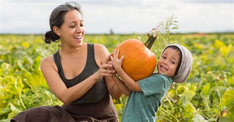 Whether it is a party or inside a classroom, games and activities are the best tools to keep children engaged. The Best Pumpkin Picking Farms in Staten Island and New Jersey