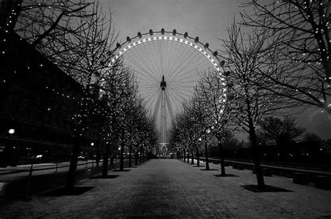 Autumn Black And White London Photography Image