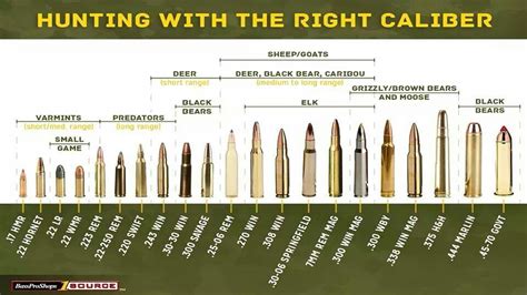 Hunt Deer With The Right Calibers Ioutoors Hunting Adventures