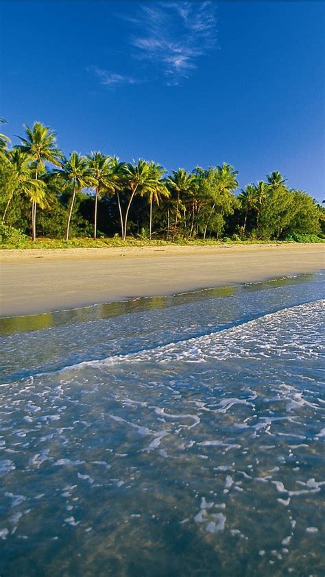 Download Wallpaper 720x1280 Beach Tropics Sea Sand Palm Trees Foam