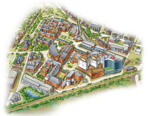 Uva Campus Illustrated Map Illustrated Maps By Rabinky Art Llc