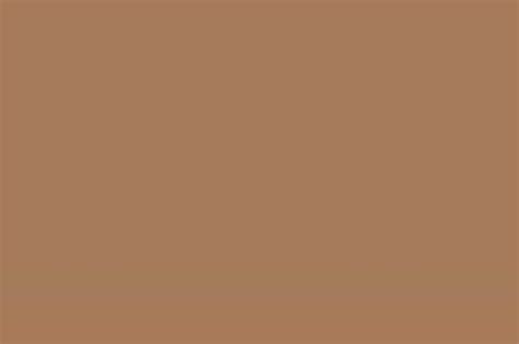 Dynamic color combinations like this one can be employed in so many different places, such is its unobtrusive nature. Internet Colors - Set of 1035 - French Beige Color