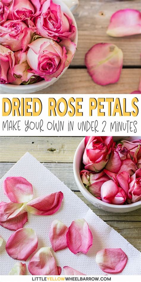 How To Dry Rose Petals In Under Two Minutes Flat Dried Rose Petals