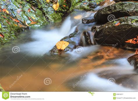 Waterfall And Rocks Covered With Moss Stock Image Image Of Wood Rain
