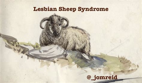 lesbian sheep syndrome by joreid