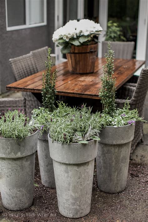 Choosing the right tree planter for your needs can be a challenging 13 types of large outdoor planters for trees. Savvy Southern Style : Home Style Saturdays
