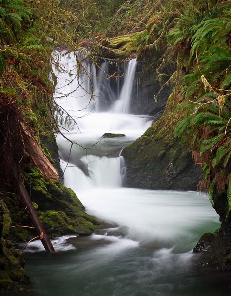 The Best Rain Forest Waterfalls On The Olympic Peninsula Wa Vlrengbr