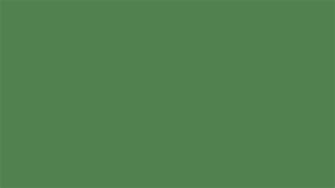 Pantone 17 6333 Tpx Mint Green Color Hex Color Code 51814f