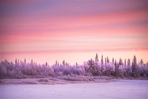 Pink Skies And Freezing Cold This Is Whats Going On In Lapland Right