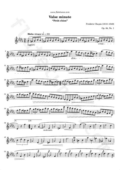 Minute Waltz From Trois Valses Op 64 F Chopin Free Flute Sheet