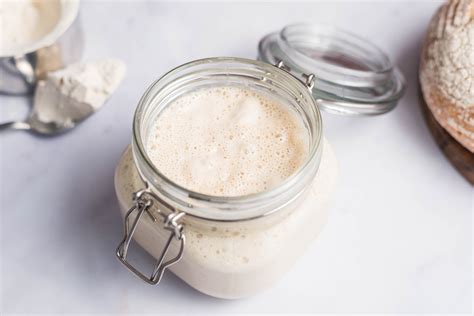 Beginner Basic Sourdough Starter Recipe Using Yeast