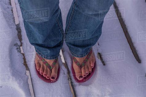 Womans Feet Standing In The Snow Wearing Flip Flops Churchill