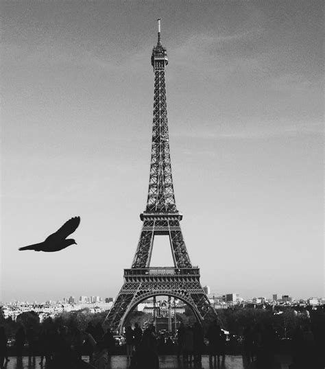 Free Images Black And White Architecture Skyline City Eiffel