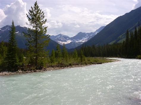 Dolly varden is open for camping in the winter. Kootenay National Park - Wikipedia