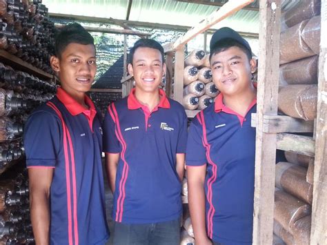 Penyelenggaraan berkualiti sistem komputer dan rangkaian cyber café asrama kolej vokasional pasir mas muhammad 'azamuddeen bin ahmad sufardy muhammad syafiq bin azman fatin nur adilah binti ahmad sulhi 2017 diploma teknologi sistem komputer dan rangkaian. saifulam-agrofarm: Projek Cendawan Pontian (Saifulam Agro ...