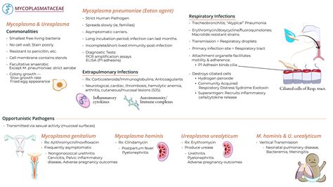 Immunology Microbiology Mycoplasmas And Ureaplasmas Ditki Medical
