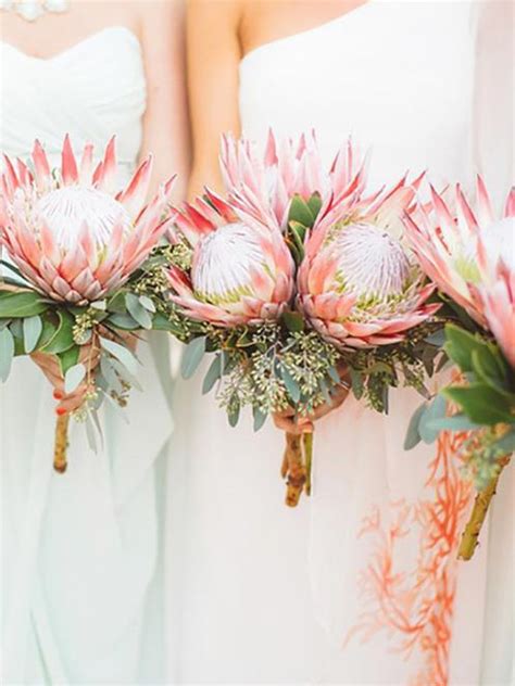 King Protea Bridal Bouquets That Are Crazy Striking Protea Wedding