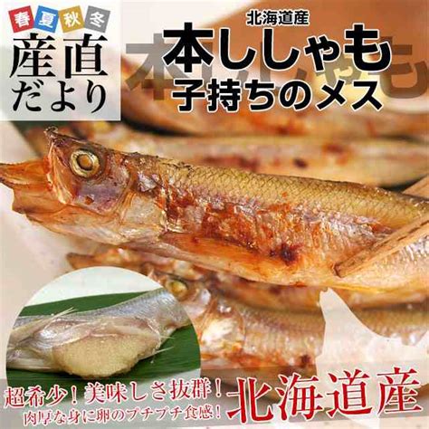 北海道より直送 北海道産 本ししゃも 子持ちのメス 20尾（10尾×2入り） 送料無料 北柳葉魚 本シシャモの通販はau Pay マーケット