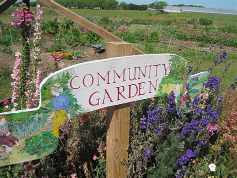 How To Start A Community Garden In Your Neighborhood