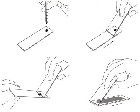 Preparation And Staining Of Peripheral Blood Smearpsa Step By Step