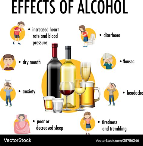 Effects Alcohol Information Infographic Royalty Free Vector