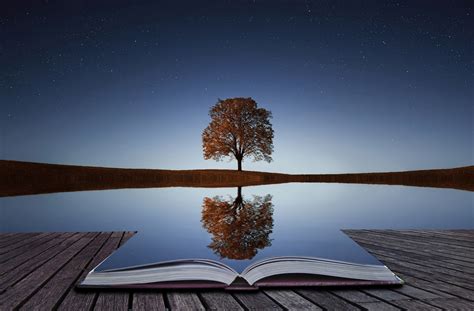 A Tree Reflection In Water Book The Knight Agency