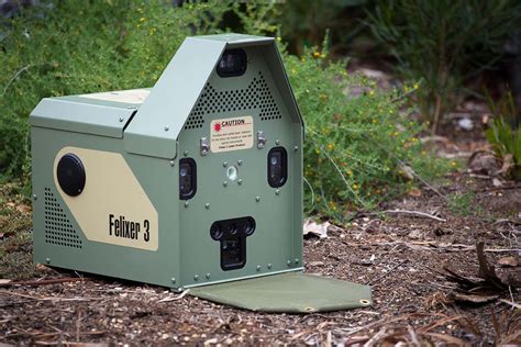 A Laser Sighted Toxic Goo Gun Is Killing Feral Cats In Australia