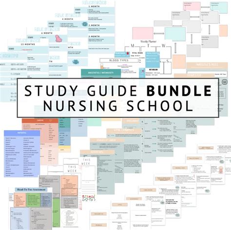 The Study Guide Bundle For Nursing School With Text Overlaying It In